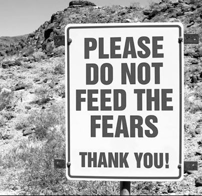 dont-feed-the-fears